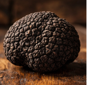 Tartufo Nero Pregiato - 100g